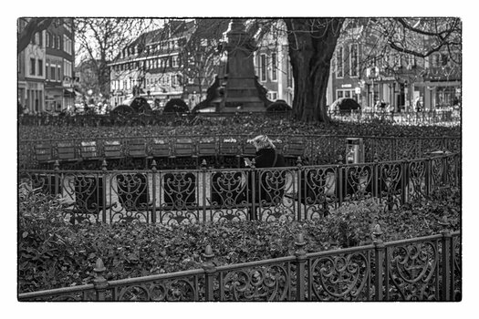 MS280125-24.jpg