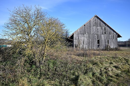 DSC_6119_k.jpg