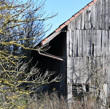 DSC_6119_k_Ausschnitt.jpg