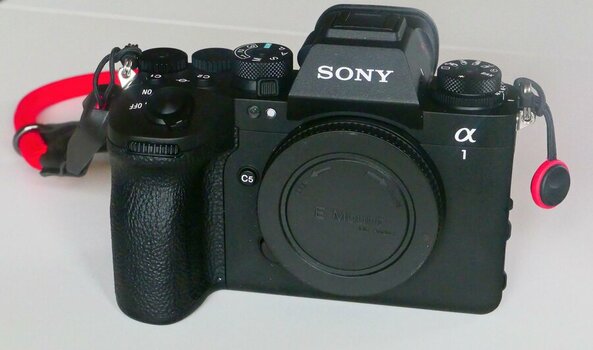 L1001042830g5 (Copy) (2).jpg