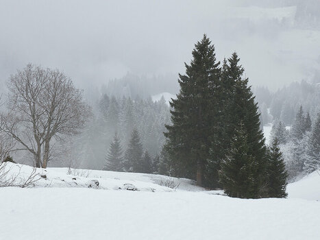 Engelberg_2025__53A1683.jpg