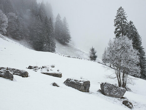 Engelberg_2025__53A1698.jpg