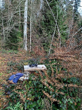 20251114_121645.jpg