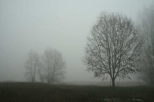 DSC_0076_01.JPG
