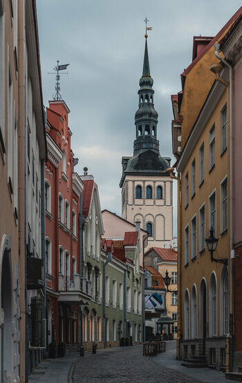 Z62_8689_X.03.jpg