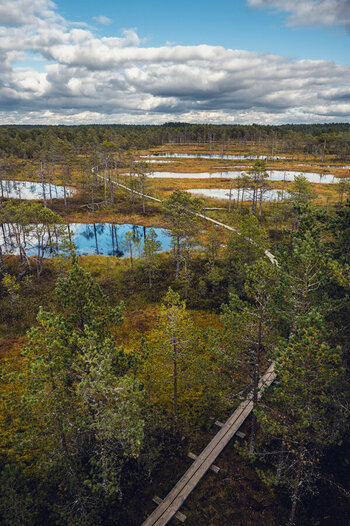 Z62_8920_X.05.jpg