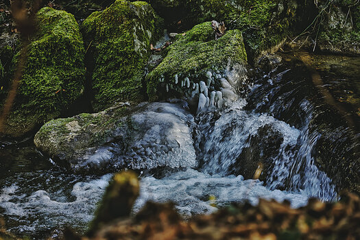 DSC_7672.f.jpg
