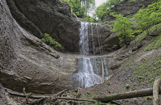 DSC_4370.f.jpg