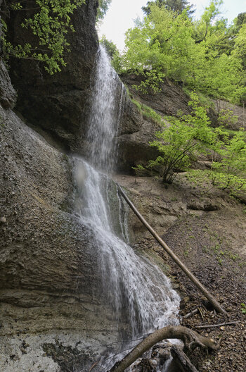DSC_4388.f.jpg