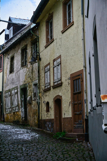 DSC_7484.jpg