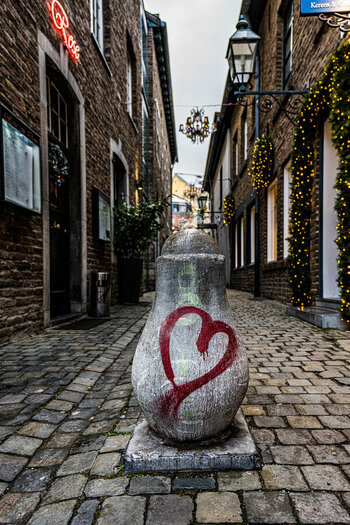 DSC_0218-3.jpg