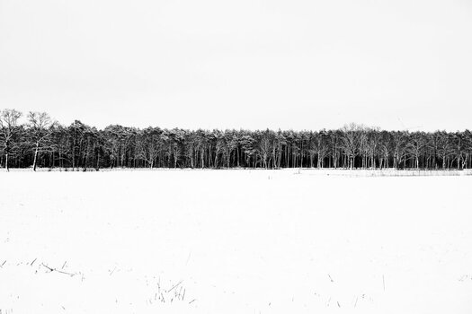 BR040126-19.jpg