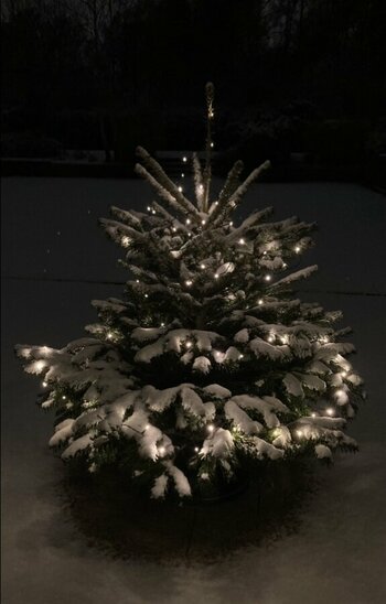IMG_3407.jpeg