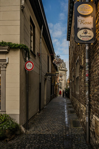 DSC_0217.jpg