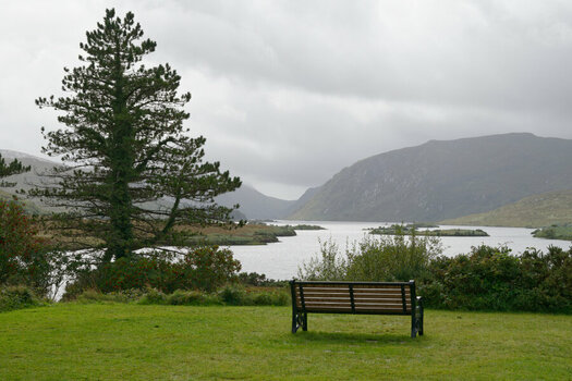NZ8_1147_DxO_NFO.JPG