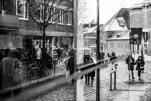 DSC_0211.jpg