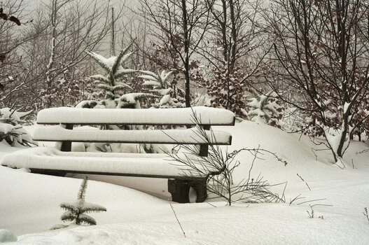 2026_01_09__2013_02_07_D300S_DSC1662_LN.jpg