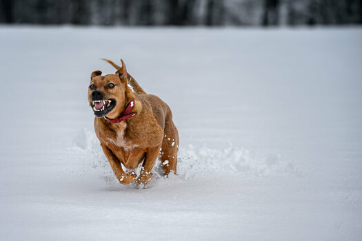 20250110 - Marla-112.jpg