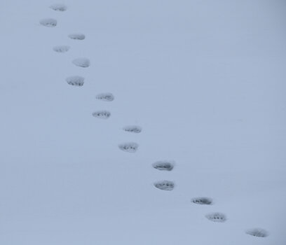 _D787346.JPG