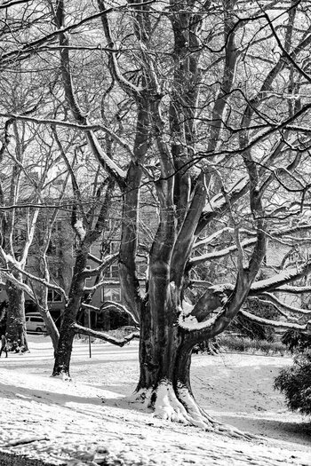 DSC_0285.jpg