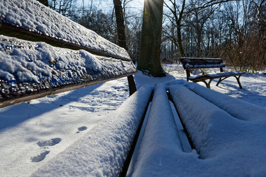 DSC_0388_DxO.jpg