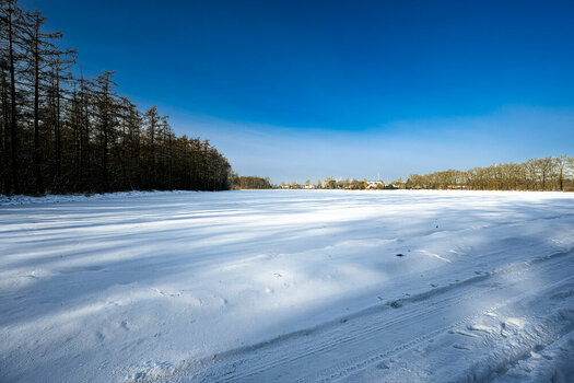 110126BR-39.jpg