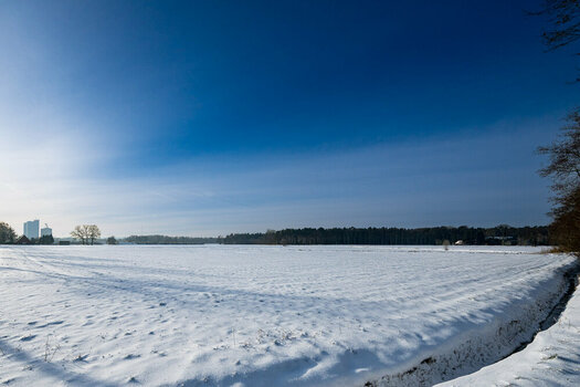 110126BR-43.jpg