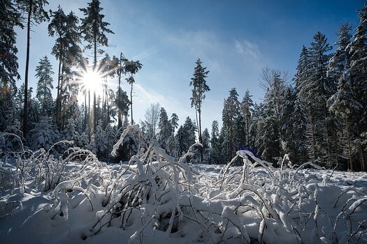 DSC_6330_l_k.jpg