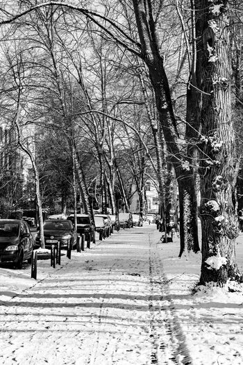 DSC_0280.jpg