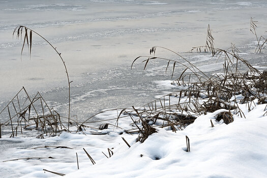 DSC_6420.f.2.jpg