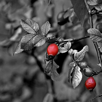WRUD_Colorkey_004.jpg