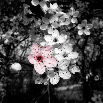 WRUD_Colorkey_005.jpg