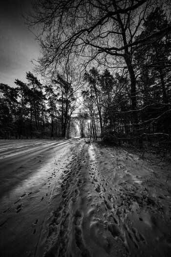110126BR-10.jpg