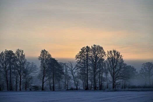 DSC_0499_R.jpg