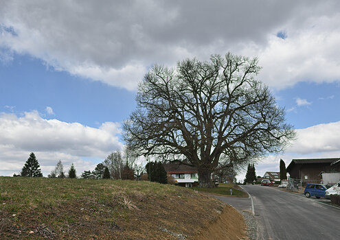 DSC_4517.f.2.jpg