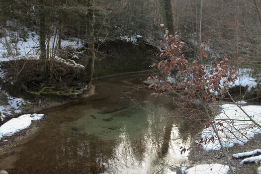 DSC_6435.f.jpg