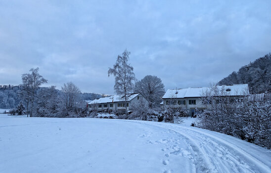 DSC08569.f.2.jpg