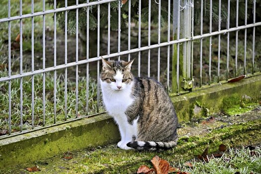 DSC_0363_R_R.jpg