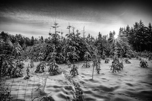 110126BR-16.jpg