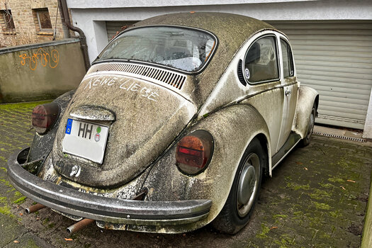 IMG_1183_2026_DxO.jpg