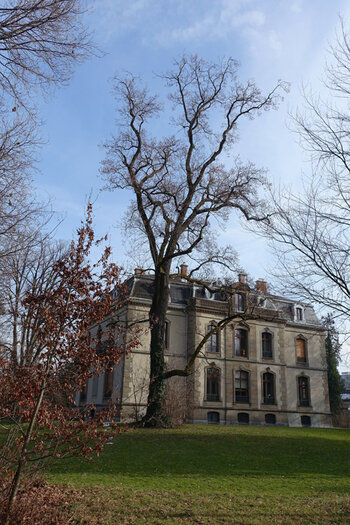 DSC08612.f.jpg