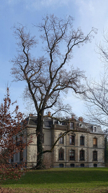 DSC08612.Variante3.jpg