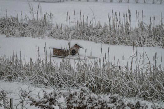 Winter.jpg