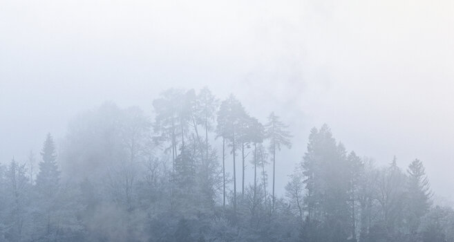 DSC_7113.f.jpg