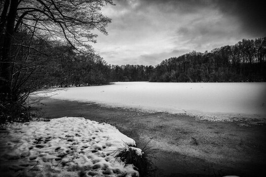 080126BR-14.jpg