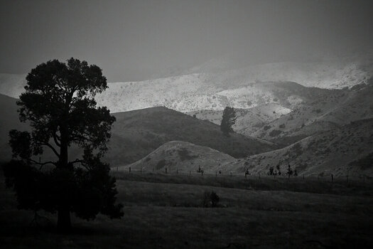 ZGF_0513_01_01.JPG