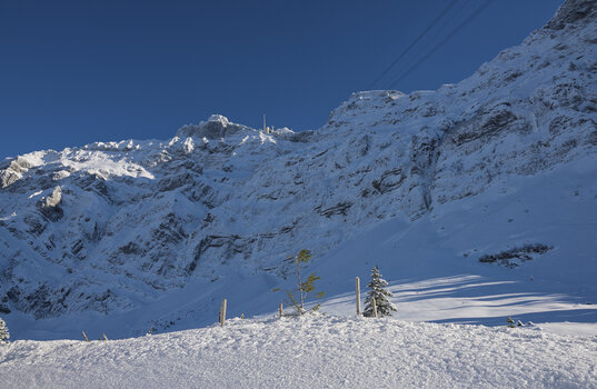 DSC_7311.f.jpg
