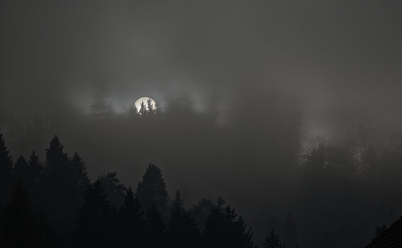 DSC_7143.f.jpg