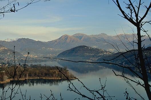 _DSC1503.f.jpg