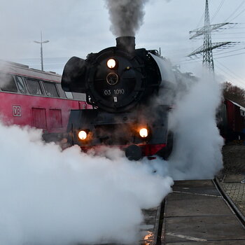 WRU_5184.JPG